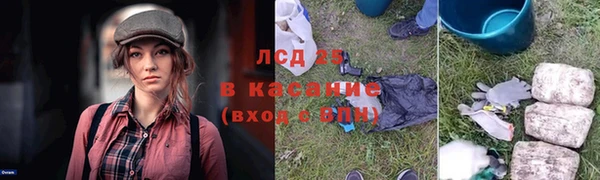 ПСИЛОЦИБИНОВЫЕ ГРИБЫ Осташков