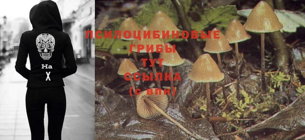 ПСИЛОЦИБИНОВЫЕ ГРИБЫ Осташков