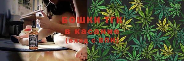 ПСИЛОЦИБИНОВЫЕ ГРИБЫ Осташков