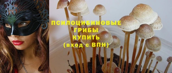 амфетамин Осинники
