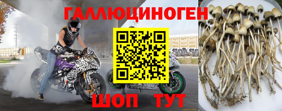 Галлюциногенные грибы Psilocybe  Барабинск  Галлюциногенные грибы ЛСД 